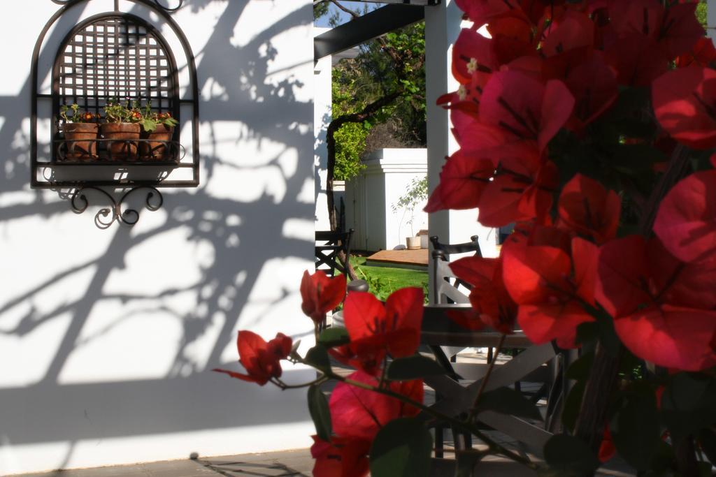 Lemon & Lime Guesthouse Bloemfontein Buitenkant foto